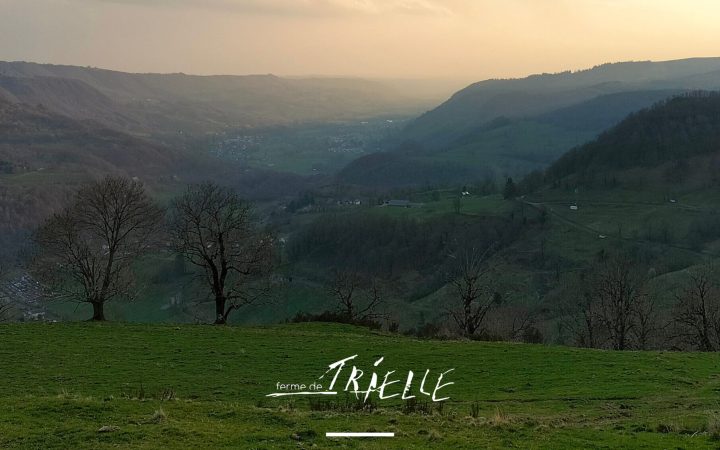 campagne Trielle 20264